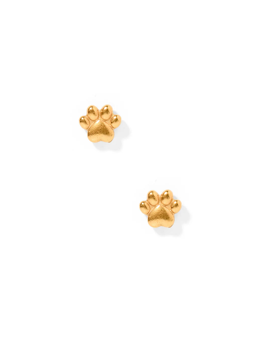 Paw Print- Screwback Stud Earrings